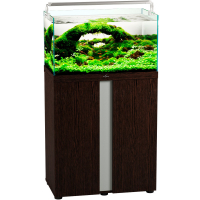 akvarium biodizajn iwagumi 70_venge